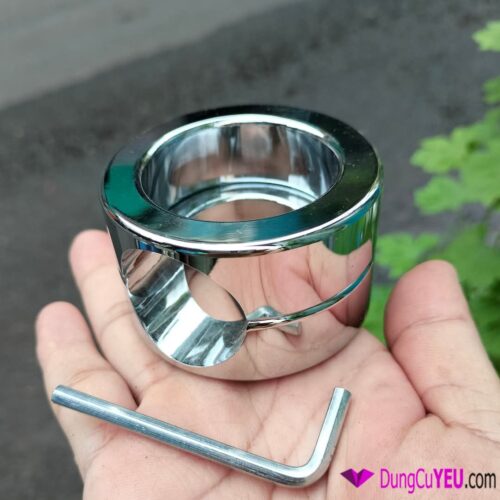 VÒNG ĐEO TINH HOÀN VÀ GỐC DƯƠNG VẬT 2 MẢNH - Ảnh 2