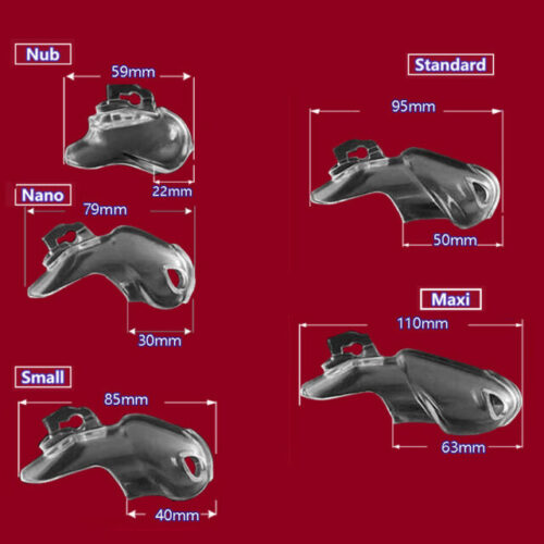 KHÓA DƯƠNG VẬT HOLY TRAINER V4 - Ảnh 3