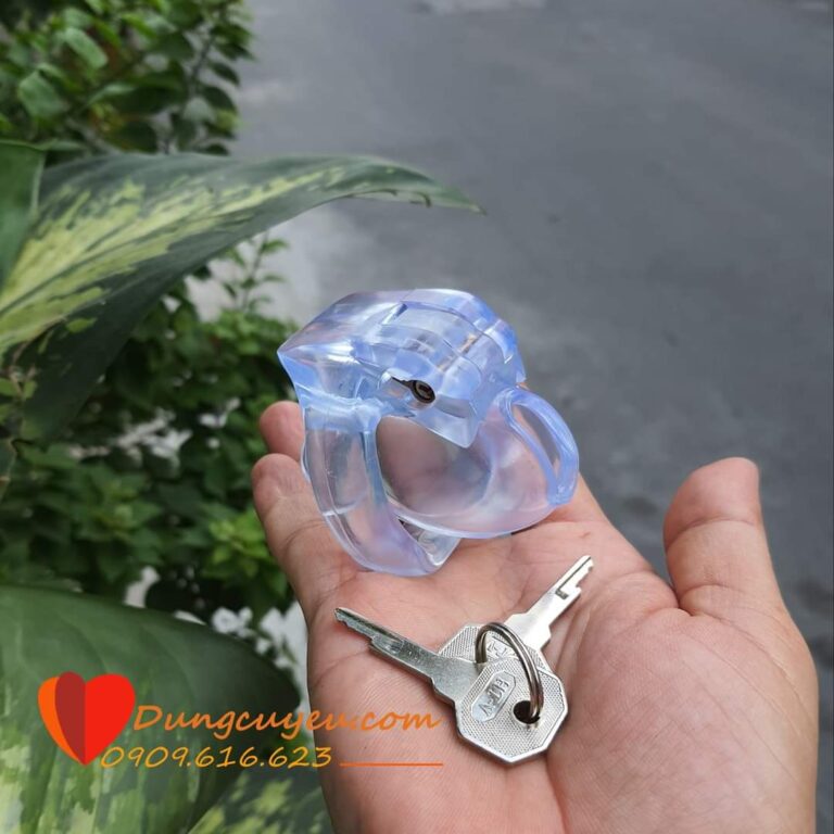 KHÓA DƯƠNG VẬT HOLY TRAINER V4 - Ảnh 7