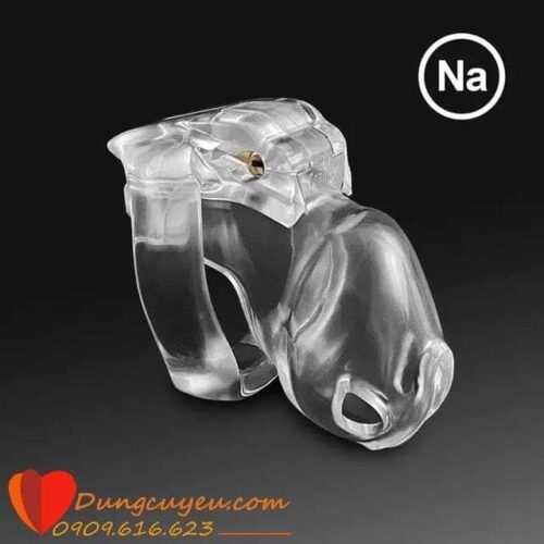 KHÓA DƯƠNG VẬT HOLY TRAINER V4 - Ảnh 15