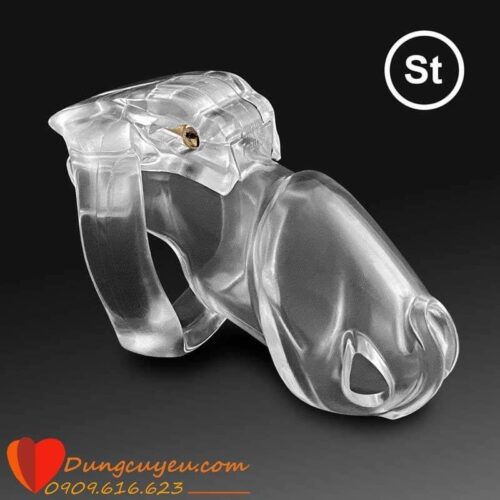 KHÓA DƯƠNG VẬT HOLY TRAINER V4 - Ảnh 12