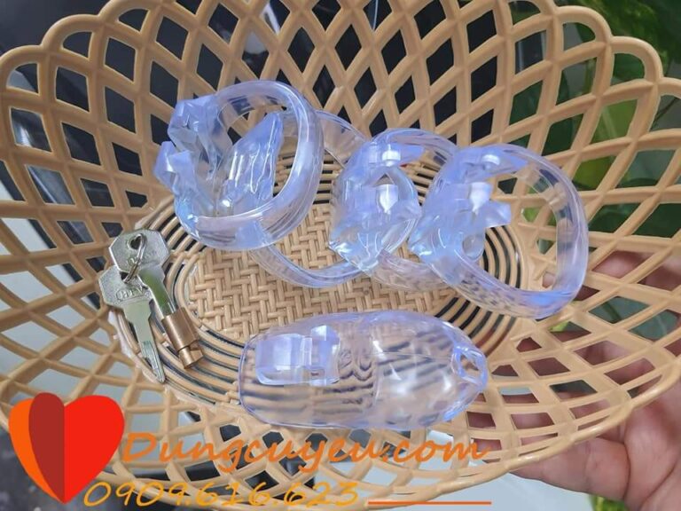 KHÓA DƯƠNG VẬT HOLY TRAINER V4 - Ảnh 9