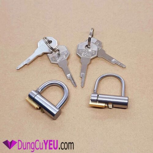 KHUYÊN ĐEO ĐẦU DƯƠNG VẬT - Ảnh 2