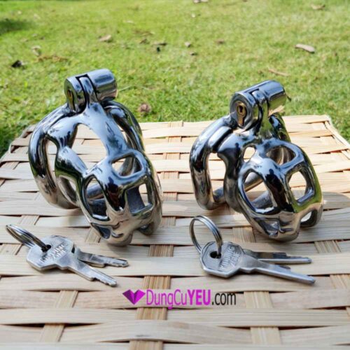 KHÓA DƯƠNG VẬT COBRA INOX - Ảnh 9