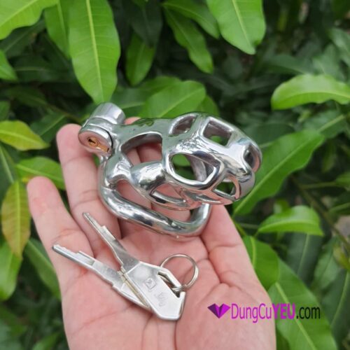KHÓA DƯƠNG VẬT COBRA INOX - Ảnh 5