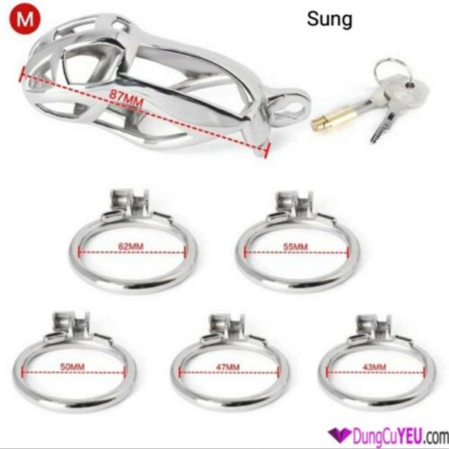 KHÓA DƯƠNG VẬT COBRA INOX - Ảnh 10