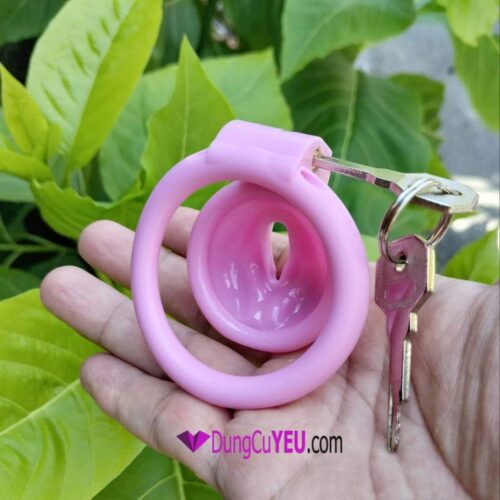 KHÓA TRINH TIẾT HÌNH ÂM ĐẠO - Ảnh 3