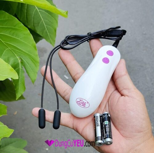 TRỨNG RUNG KÍCH THÍCH NIỆU ĐẠO PIN-SẠC - Ảnh 3