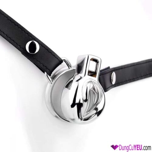 KHÓA DƯƠNG VẬT HÌNH ÂM ĐẠO INOX - Ảnh 2