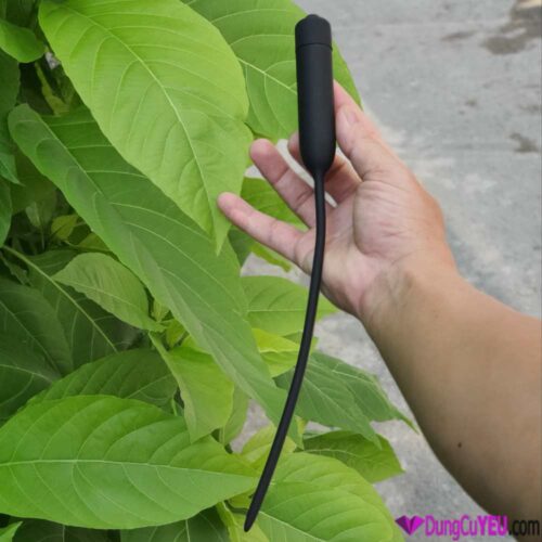THANH RUNG NIỆU ĐẠO NGẮN - Ảnh 4