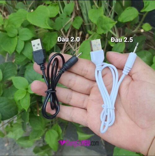 DÂY CÁP SẠC TRỨNG RUNG CHÀY RUNG