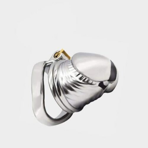 KHÓA TRINH TIẾT HÌNH DƯƠNG VẬT - Ảnh 7
