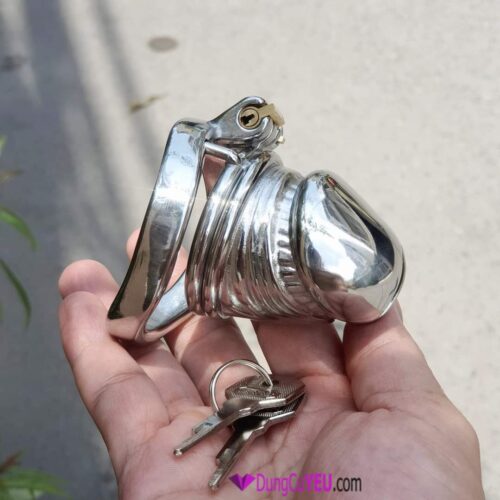 KHÓA TRINH TIẾT HÌNH DƯƠNG VẬT - Ảnh 2