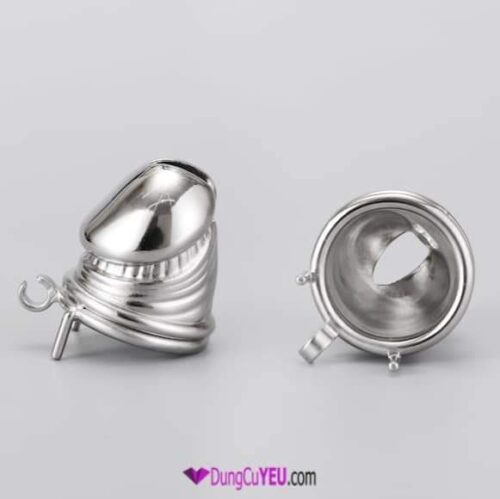 KHÓA TRINH TIẾT HÌNH DƯƠNG VẬT - Ảnh 8