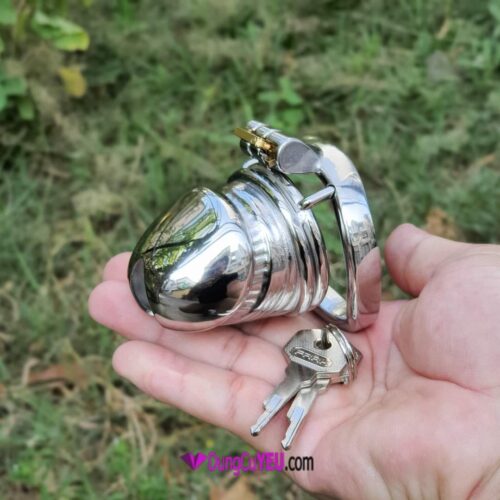 KHÓA TRINH TIẾT HÌNH DƯƠNG VẬT - Ảnh 4