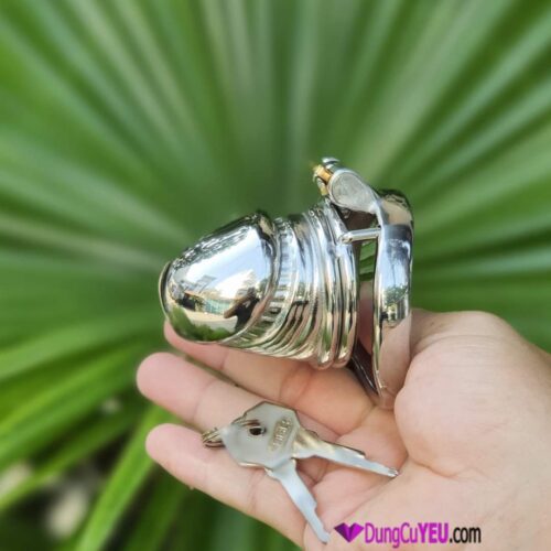 KHÓA TRINH TIẾT HÌNH DƯƠNG VẬT - Ảnh 5