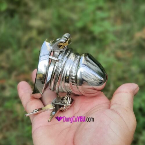 KHÓA TRINH TIẾT HÌNH DƯƠNG VẬT - Ảnh 3