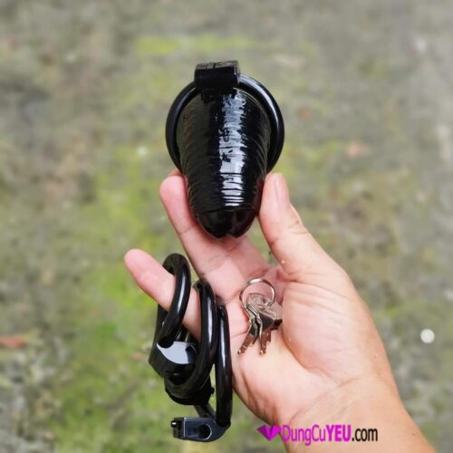 KHÓA TRINH TIẾT NHỰA HÌNH DƯƠNG VẬT - Ảnh 4