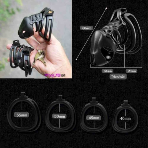 KHÓA TRINH TIẾT HÌNH BỘ XƯƠNG - Ảnh 3