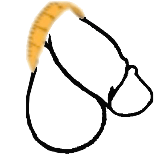 Chu vi