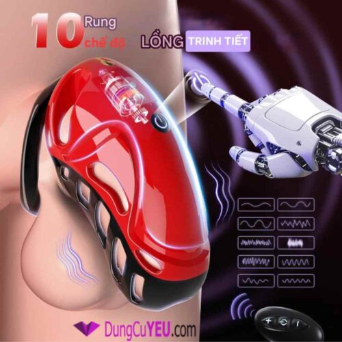 KHÓA DƯƠNG VẬT RUNG 10 CHẾ ĐỘ