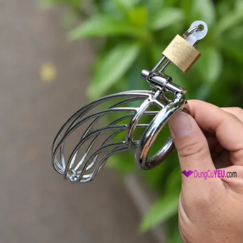 Khóa dương vật lồng dài